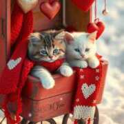 ヒメ日記 2026/02/05 10:58 投稿 ほのか 妻天 日本橋店