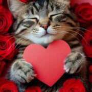 ヒメ日記 2026/02/08 10:59 投稿 ほのか 妻天 日本橋店