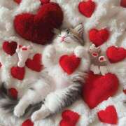 ヒメ日記 2026/02/10 11:10 投稿 ほのか 妻天 日本橋店