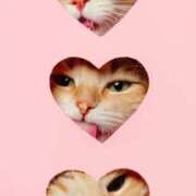 ヒメ日記 2026/02/12 11:02 投稿 ほのか 妻天 日本橋店