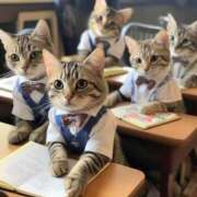 ヒメ日記 2026/02/21 11:14 投稿 ほのか 妻天 日本橋店