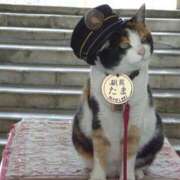 ヒメ日記 2026/02/25 11:10 投稿 ほのか 妻天 日本橋店