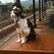 ヒメ日記 2026/02/26 11:12 投稿 ほのか 妻天 日本橋店