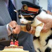 ヒメ日記 2026/02/28 10:53 投稿 ほのか 妻天 日本橋店