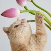 ヒメ日記 2026/03/01 10:59 投稿 ほのか 妻天 日本橋店