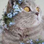 ヒメ日記 2026/03/03 10:54 投稿 ほのか 妻天 日本橋店