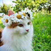 ヒメ日記 2026/03/04 10:55 投稿 ほのか 妻天 日本橋店