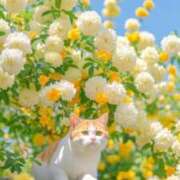 ヒメ日記 2026/03/05 11:05 投稿 ほのか 妻天 日本橋店