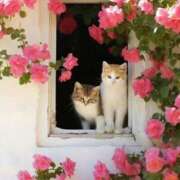 ほのか 久しぶりに 妻天 日本橋店