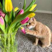 ヒメ日記 2026/03/12 10:59 投稿 ほのか 妻天 日本橋店