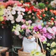 ヒメ日記 2026/03/14 10:56 投稿 ほのか 妻天 日本橋店