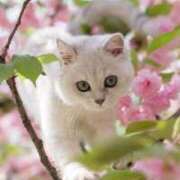 ヒメ日記 2026/03/21 11:31 投稿 ほのか 妻天 日本橋店