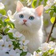 ヒメ日記 2026/03/22 11:04 投稿 ほのか 妻天 日本橋店