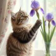 ヒメ日記 2026/03/31 11:01 投稿 ほのか 妻天 日本橋店