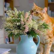 ヒメ日記 2026/04/02 11:04 投稿 ほのか 妻天 日本橋店