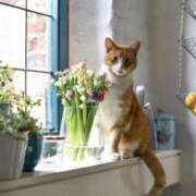 ヒメ日記 2026/04/11 11:14 投稿 ほのか 妻天 日本橋店