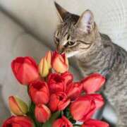 ヒメ日記 2026/04/14 10:58 投稿 ほのか 妻天 日本橋店