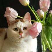 ヒメ日記 2026/04/18 11:28 投稿 ほのか 妻天 日本橋店