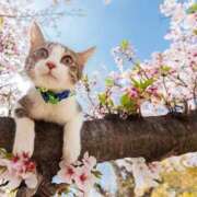 ヒメ日記 2026/04/25 11:00 投稿 ほのか 妻天 日本橋店