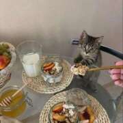 ヒメ日記 2026/05/12 11:16 投稿 ほのか 妻天 日本橋店