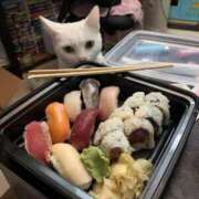 ヒメ日記 2026/08/09 11:08 投稿 ほのか 妻天 日本橋店