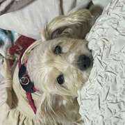 ヒメ日記 2025/02/02 12:13 投稿 まいこ 妻天 日本橋店