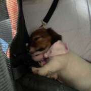 ヒメ日記 2025/09/21 10:02 投稿 まいこ 妻天 日本橋店