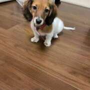 ヒメ日記 2025/10/26 09:46 投稿 まいこ 妻天 日本橋店