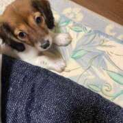 ヒメ日記 2025/11/16 09:45 投稿 まいこ 妻天 日本橋店