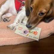 ヒメ日記 2026/01/21 22:55 投稿 まいこ 妻天 日本橋店