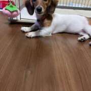 ヒメ日記 2026/02/03 14:11 投稿 まいこ 妻天 日本橋店