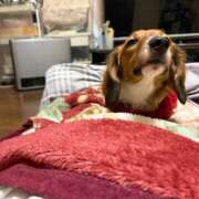 ヒメ日記 2026/03/01 10:21 投稿 まいこ 妻天 日本橋店