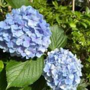 ヒメ日記 2026/06/17 08:42 投稿 てぃな ごほうびSPA 大阪店