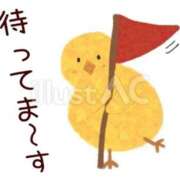 ヒメ日記 2026/09/03 14:16 投稿 さや スピード梅田店