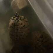 ヒメ日記 2026/06/02 11:34 投稿 れあ 奥様特急　立川店
