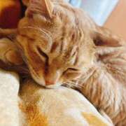 ヒメ日記 2025/02/22 07:03 投稿 わかな 妻天 日本橋店