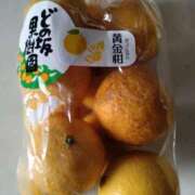 ヒメ日記 2025/04/09 06:02 投稿 わかな 妻天 日本橋店