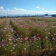 ヒメ日記 2025/11/07 06:44 投稿 わかな 妻天 日本橋店