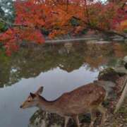 ヒメ日記 2025/11/25 10:02 投稿 わかな 妻天 日本橋店