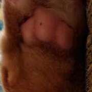 わかな おつかれさまです😊 妻天 日本橋店