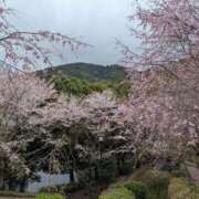 ヒメ日記 2026/04/06 08:35 投稿 わかな 妻天 日本橋店