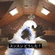 ヒメ日記 2026/08/17 10:12 投稿 ツキ ソープランド マックス
