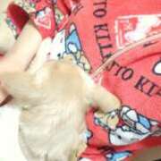 ヒメ日記 2024/12/30 21:26 投稿 あやな 妻天 日本橋店