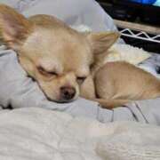 ヒメ日記 2025/02/02 22:34 投稿 あやな 妻天 日本橋店