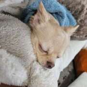 ヒメ日記 2025/03/03 22:35 投稿 あやな 妻天 日本橋店