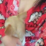 ヒメ日記 2025/03/09 09:04 投稿 あやな 妻天 日本橋店