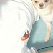 ヒメ日記 2025/08/10 21:32 投稿 あやな 妻天 日本橋店