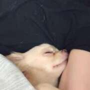 ヒメ日記 2025/08/21 20:30 投稿 あやな 妻天 日本橋店