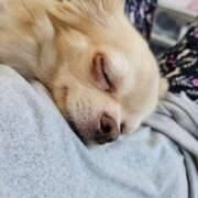 ヒメ日記 2025/09/17 23:05 投稿 あやな 妻天 日本橋店