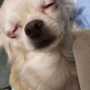 ヒメ日記 2025/10/20 22:00 投稿 あやな 妻天 日本橋店